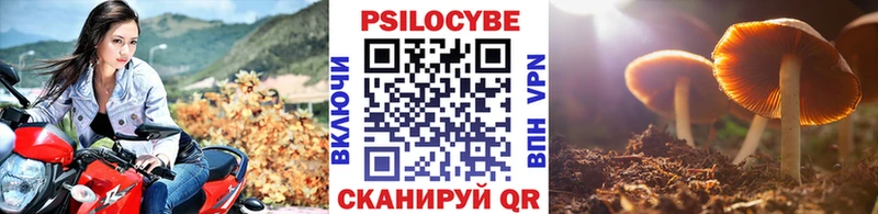 Галлюциногенные грибы прущие грибы Чаплыгин